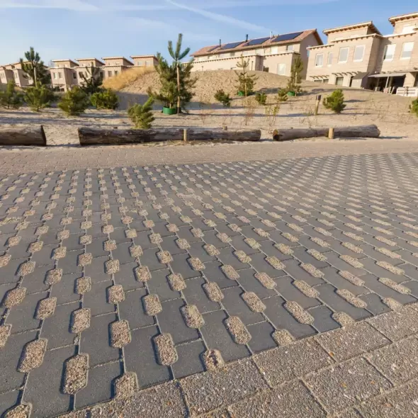 Ažūrinių eco betoninių vejos korių vandeniui pralaidus sodybų kelias šalia rąstų dekoracijų