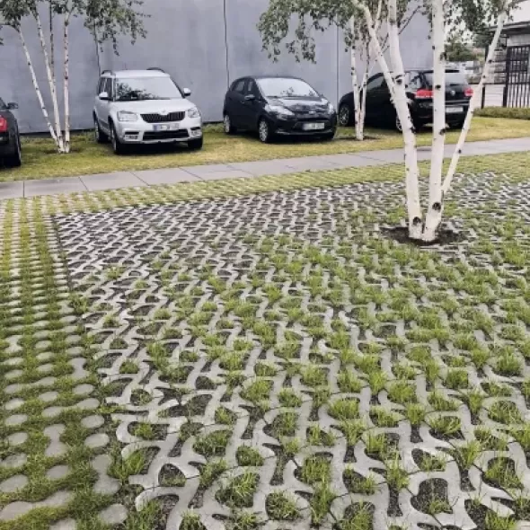 Ornamentinių ažūrinių eko betoninių trinkelių su žaliuojančia veja tvarus ir estetiškas grindinys automobilių aikštelėje