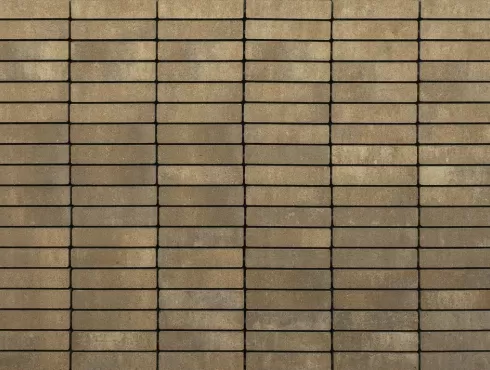 Smėlio ir ugninių kapučino tonų klinkerio formato betoninių trinkelių tvarus ir estetiškas grindinys
